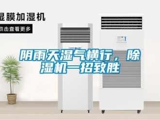 知识百科阴雨天湿气横行，除湿机一招致胜