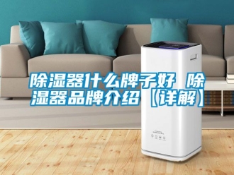 行业新闻除湿器什么牌子好 除湿器品牌介绍【详解】