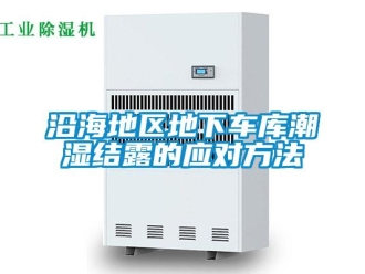 知识百科沿海地区地下车库潮湿结露的应对方法