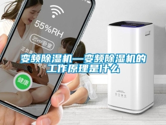 企业新闻变频除湿机—变频除湿机的工作原理是什么