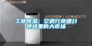 工业除湿：空调行业细分领域里的大市场