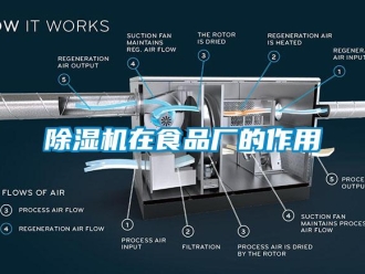 企业新闻除湿机在食品厂的作用