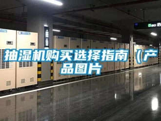 企业新闻抽湿机购买选择指南（产品图片