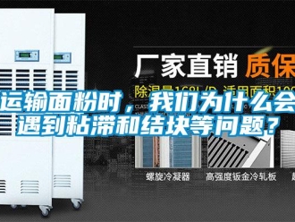 常见问题运输面粉时，我们为什么会遇到粘滞和结块等问题？