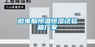 微电脑恒温恒湿试验箱厂家