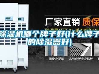 行业新闻除湿机哪个牌子好(什么牌子的除湿器好)