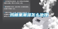 鸡棚里潮湿怎么处理