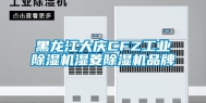 黑龙江大庆CFZ工业除湿机湿菱除湿机品牌