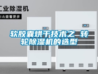 行业新闻软胶囊烘干技术之 转轮除湿机的选型