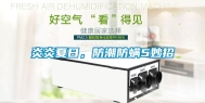 炎炎夏日，防潮防螨5妙招