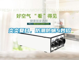 知识百科炎炎夏日，防潮防螨5妙招