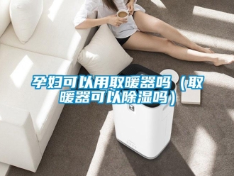 行业新闻孕妇可以用取暖器吗（取暖器可以除湿吗）