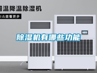 行业新闻除湿机有哪些功能
