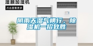 阴雨天湿气横行，除湿机一招致胜