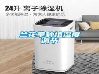 行业新闻兰花草种植湿度调节