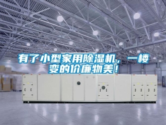 知识百科有了小型家用除湿机，一楼变的价廉物美！
