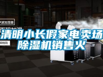 行业新闻清明小长假家电卖场除湿机销售火