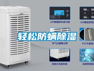 行业新闻轻松防螨除湿