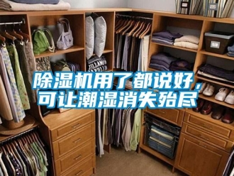 企业新闻除湿机用了都说好，可让潮湿消失殆尽