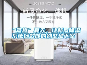 企业新闻“蒸热”夏天，让新风除湿系统拯救你的别墅地下室