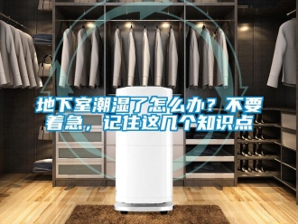 企业新闻地下室潮湿了怎么办？不要着急，记住这几个知识点