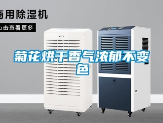 行业新闻菊花烘干香气浓郁不变色