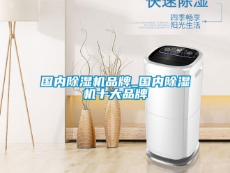 企业新闻国内除湿机品牌_国内除湿机十大品牌