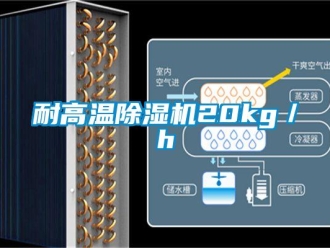 行业新闻耐高温除湿机20kg／h
