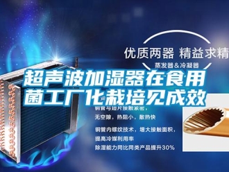 企业新闻超声波加湿器在食用菌工厂化栽培见成效