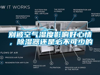 企业新闻别被空气湿度影响好心情，除湿器还是必不可少的