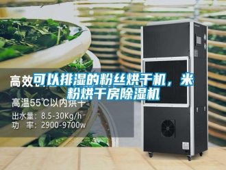 行业新闻可以排湿的粉丝烘干机，米粉烘干房除湿机