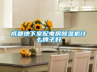 企业新闻成都地下室配电房除湿机什么牌子好