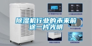 除湿机行业的未来前途一片光明