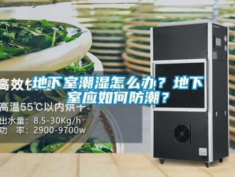 企业新闻地下室潮湿怎么办？地下室应如何防潮？