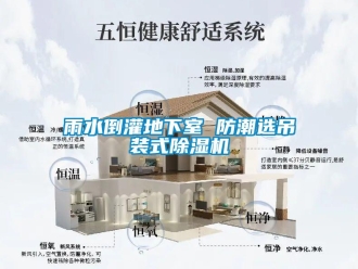 知识百科雨水倒灌地下室 防潮选吊装式除湿机