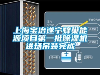 行业新闻上海宝冶遂宁蜂巢能源项目第一批除湿机进场吊装完成