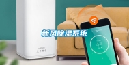 新风除湿系统