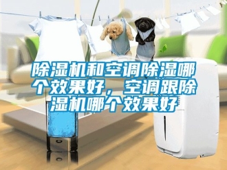 行业新闻除湿机和空调除湿哪个效果好，空调跟除湿机哪个效果好