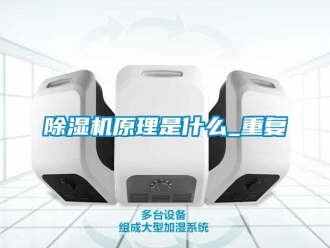 行业新闻除湿机原理是什么_重复