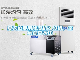 行业新闻夏天也要用除湿机？没错，空调都管不住
