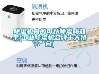 常见问题除湿机真的可以除湿吗知乎(工业除湿机品牌十大排名)