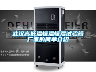 知识百科武汉高低温恒温恒湿试验箱厂家的简单介绍