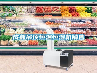 知识百科成都吊顶恒温恒湿机销售
