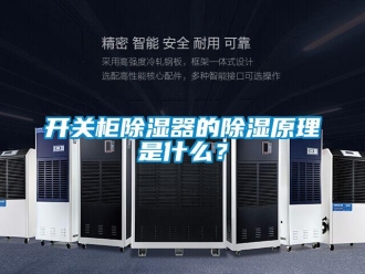 行业新闻开关柜除湿器的除湿原理是什么？