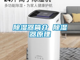 行业新闻除湿器简介 除湿器原理