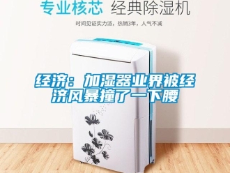 行业新闻经济：加湿器业界被经济风暴撞了一下腰
