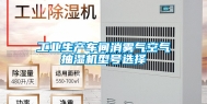 工业生产车间消雾气空气抽湿机型号选择
