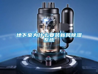 企业新闻地下室为什么要装新风除湿系统