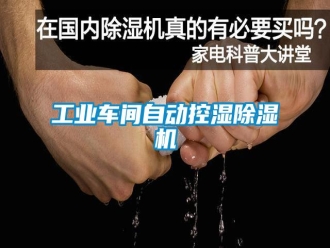 企业新闻工业车间自动控湿除湿机