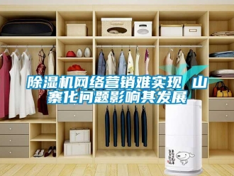 常见问题除湿机网络营销难实现 山寨化问题影响其发展